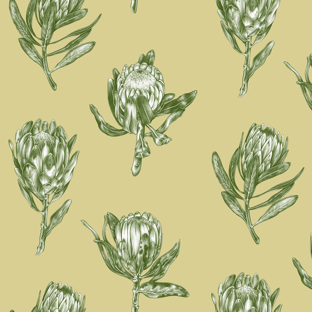 PROTEA POLKA FABRIC