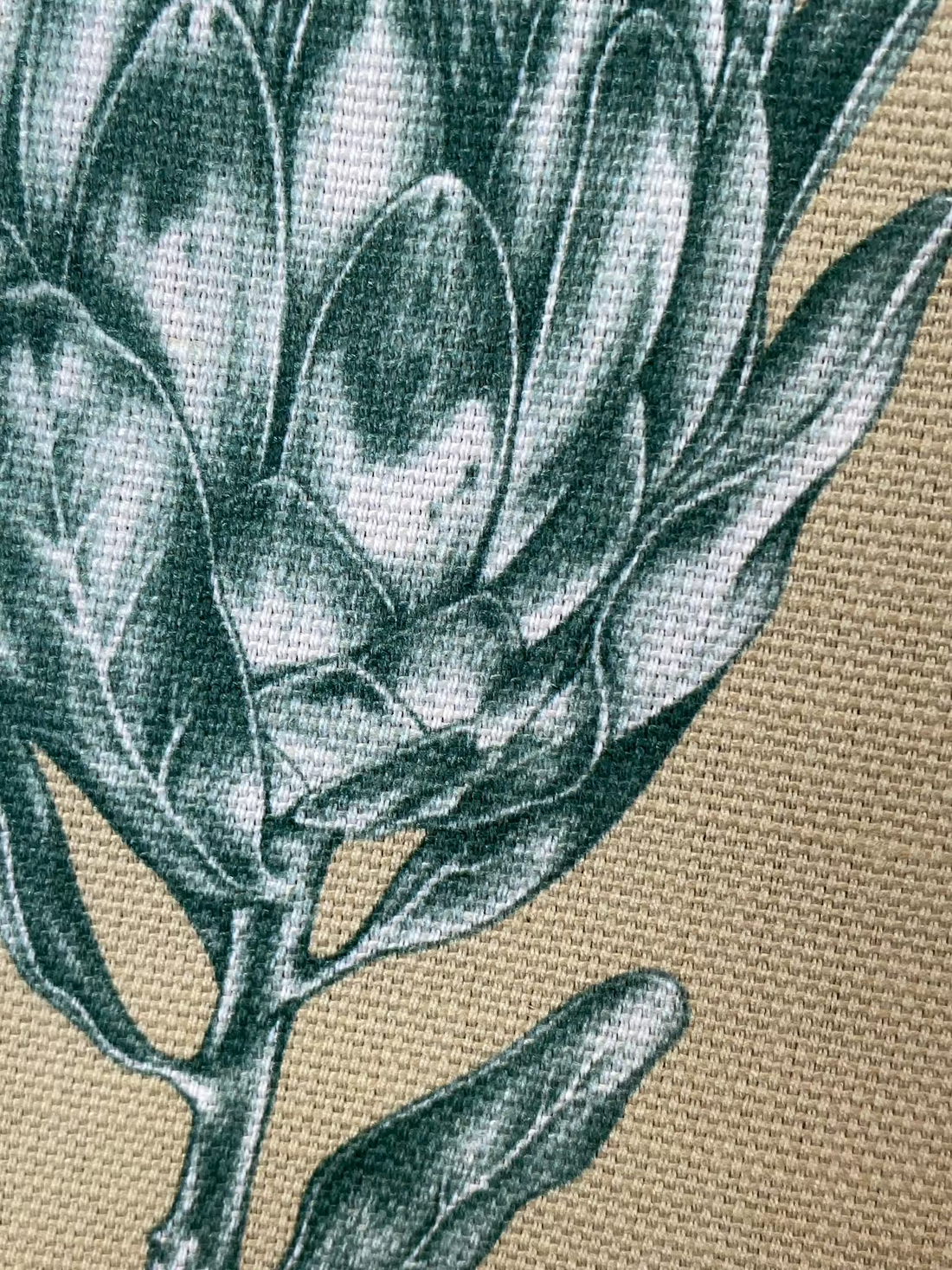 linen, premium linen, floral linen, floral, high-end linen, printed fabric, fabric, lampshade, protea, protea flower, upholstery 